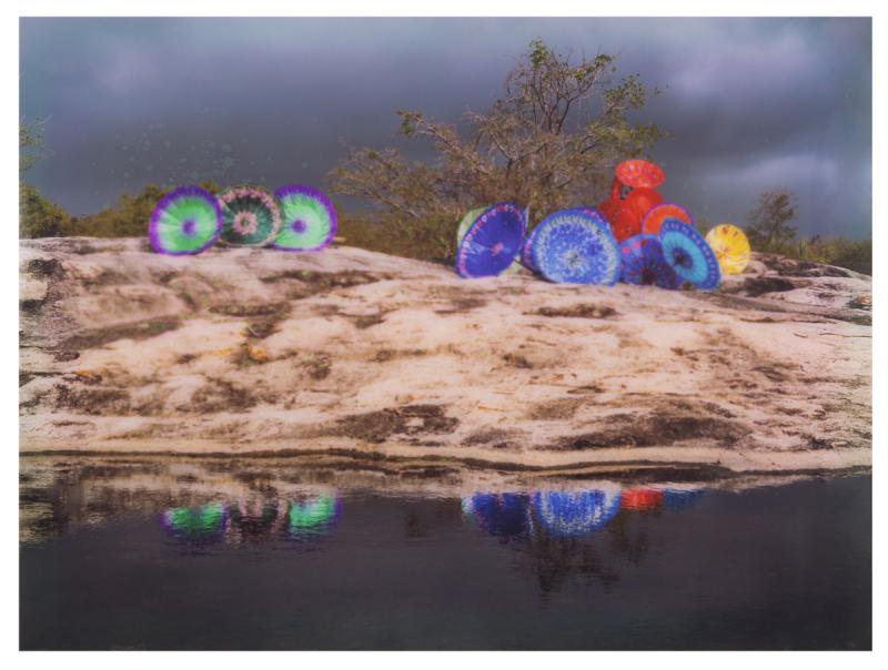 Delson Uchôa - da série Bicho-da-Seda, 2014, 1/3, fotografia montada em metacrilato, 110 x 150 cm