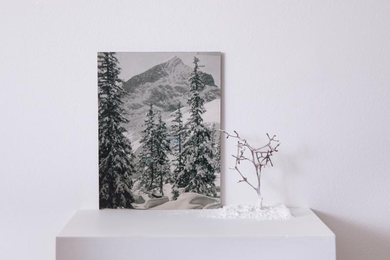 Nicólas Robbio - Sem titulo, 2007, fotografia, galho de uva e pó de dolomita sobre, prateleira de papelão, 20,5 x 15,5 cm (foto), 14 x 8 x 8 cm (galho)