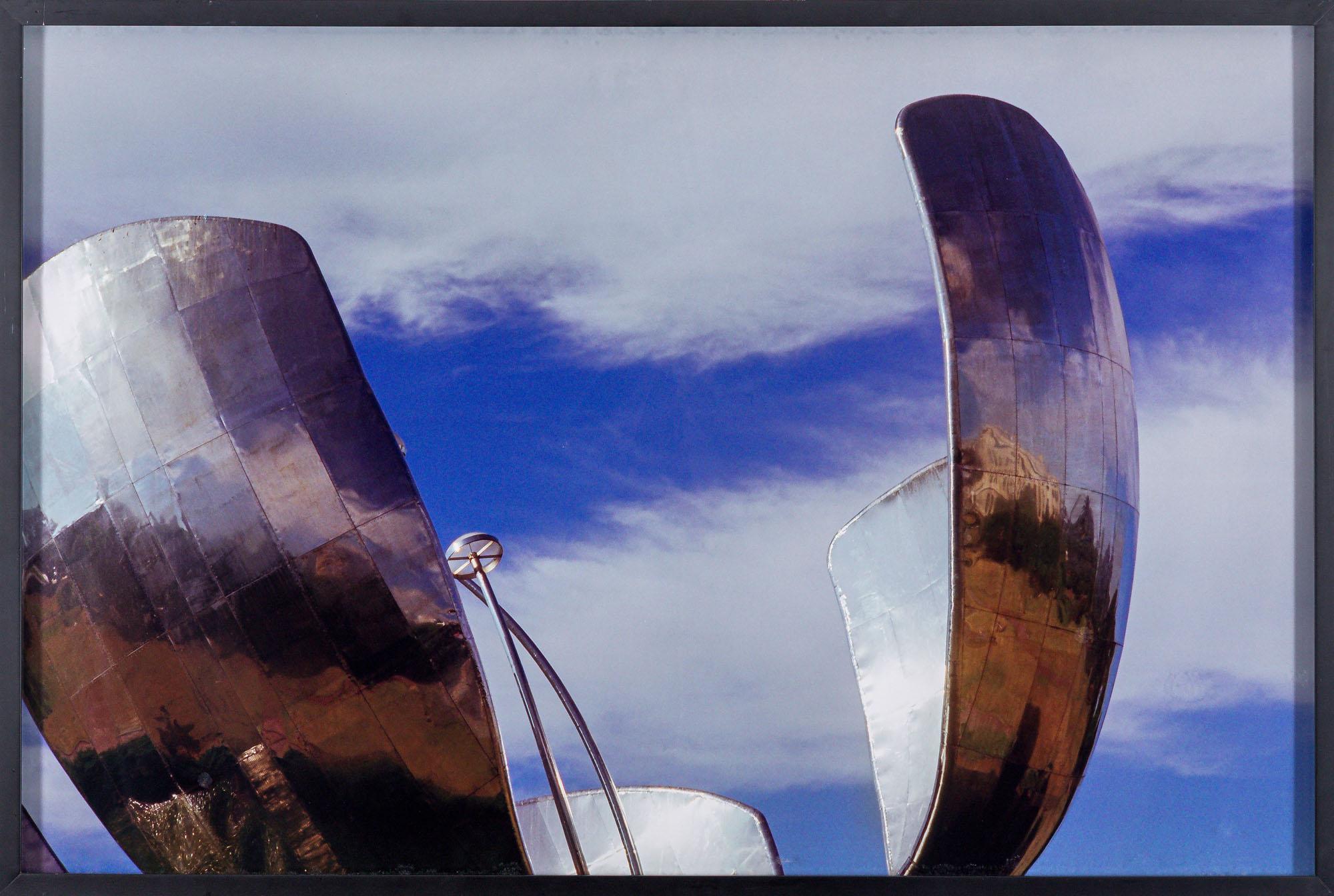 Christian Lohn - Metal Flower, 2010, 1/5, fotografia, 70 x 105 cm