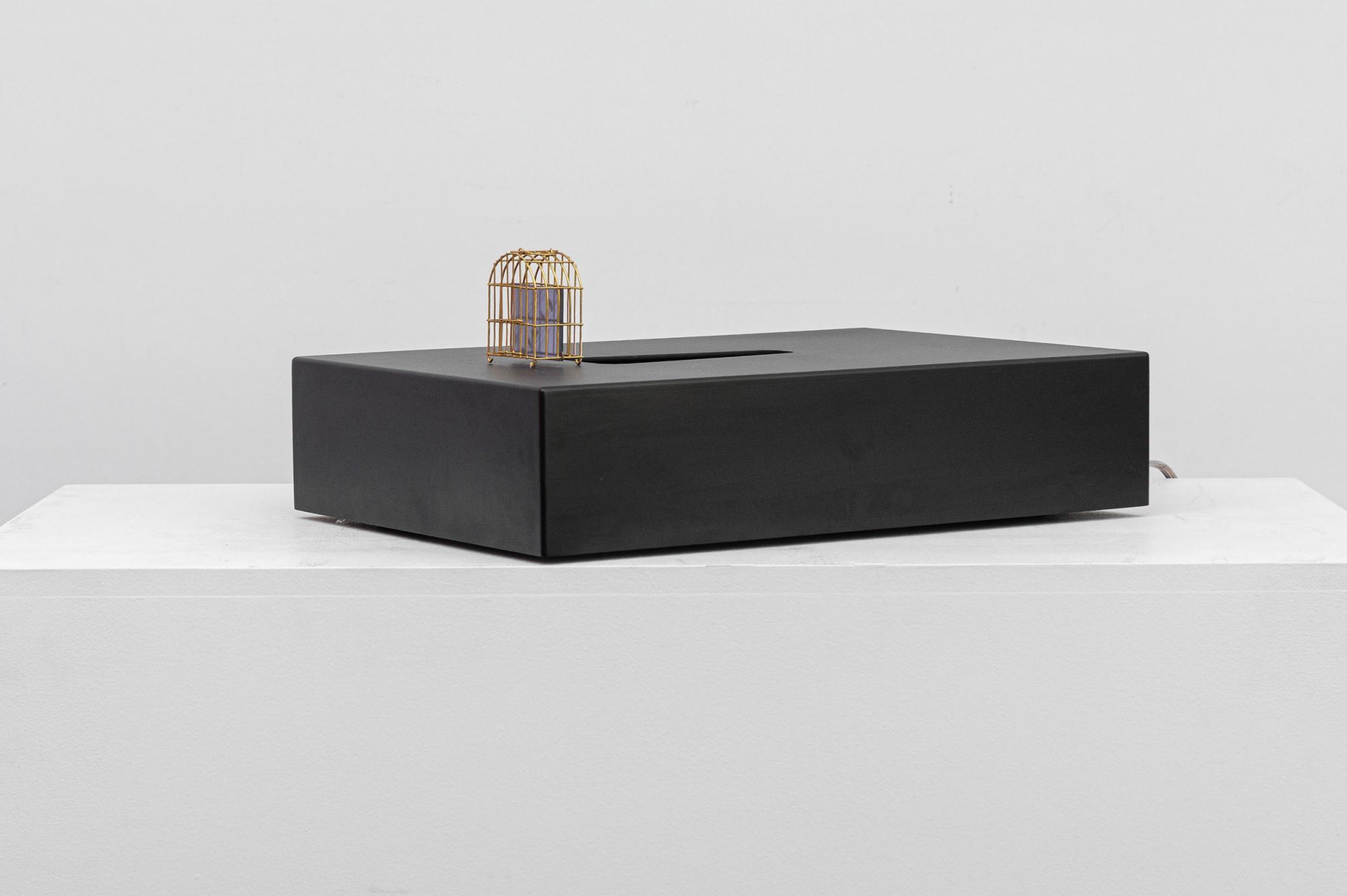 Eder Santos - Call Waiting in Box, 2010, 2/10, vídeo instalação, 17 x 29 x 42 cm