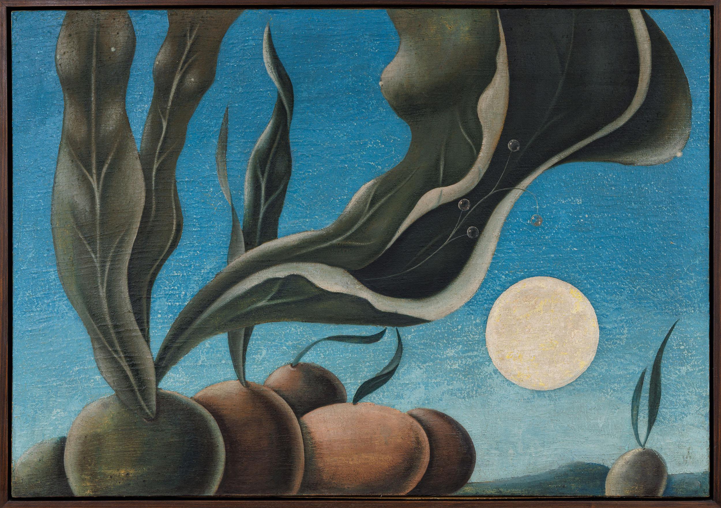 Walter Lewy - Sem título, déc. 1960, óleo sobre tela, 80 x 116 cm